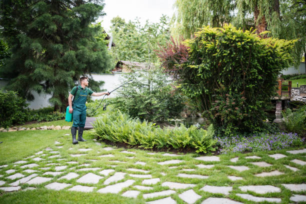 Best Pest Control Treatment  in Phoenix, AZ