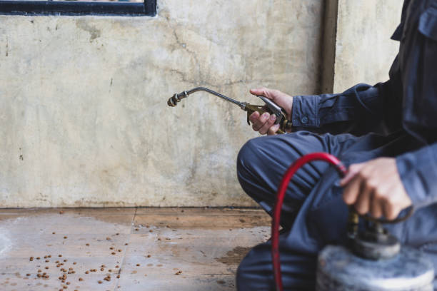 Best Pest Prevention Services  in Phoenix, AZ